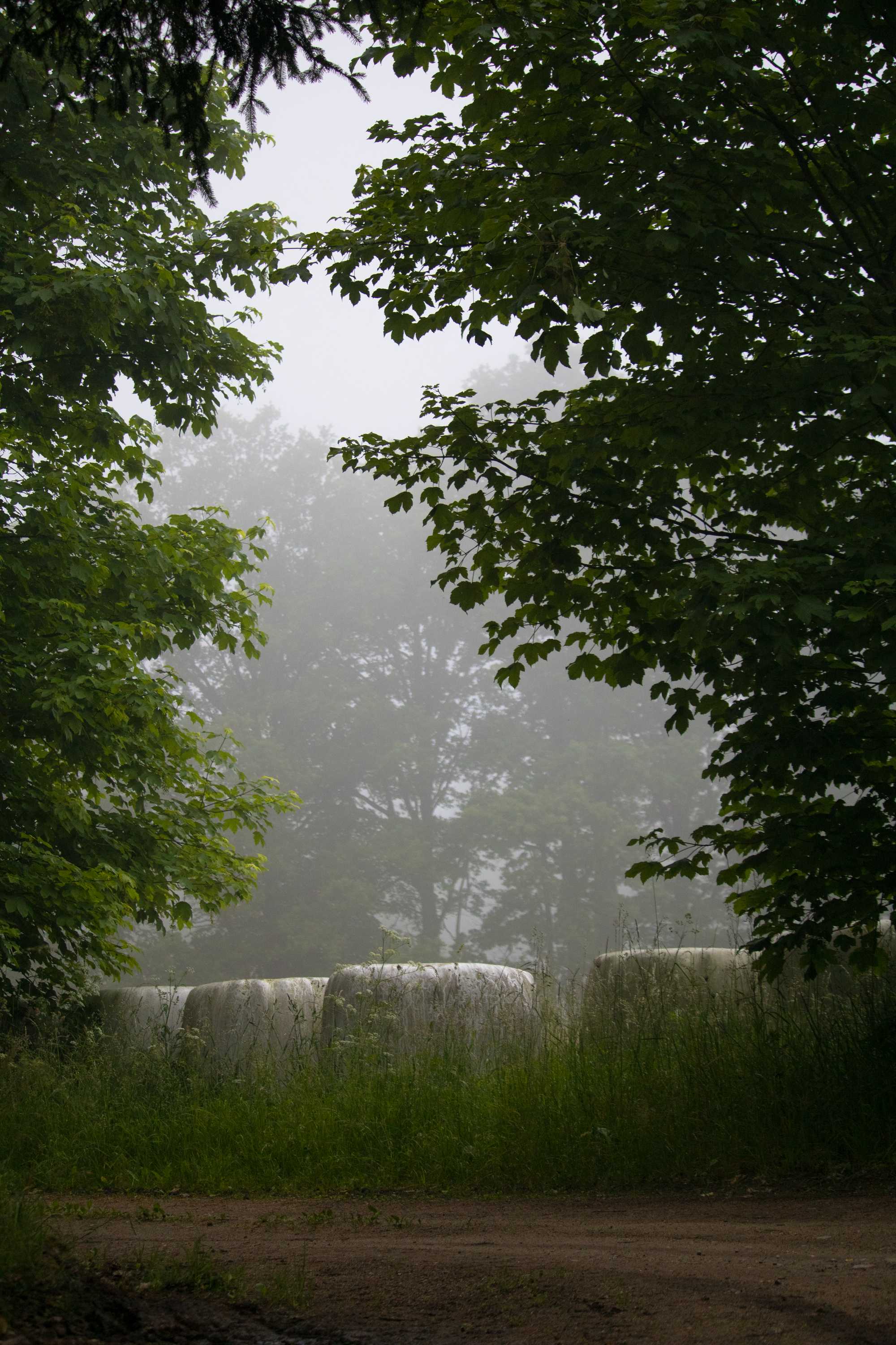 2023 Photo 30